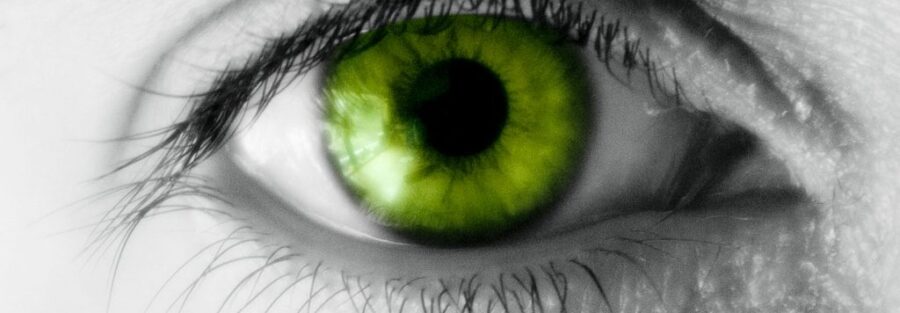 Navigating the Green-Eyed Monster: How to Deal with Envy and Jealousy